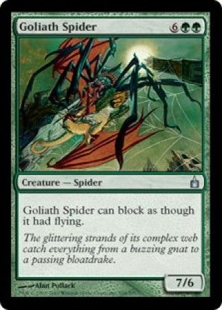 Goliath Spider – Troll and Toad