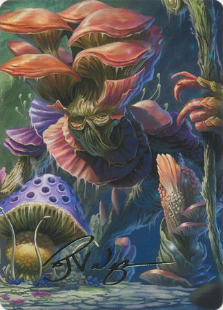 Myconid Adult 024/081 - CLB Art Series (Gold Artist Signature) – Troll ...