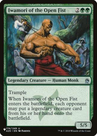 Iwamori of the Open Fist - 174