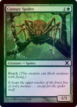 Canopy Spider - Foil